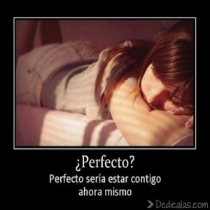 desmotivaciones sería perfecto