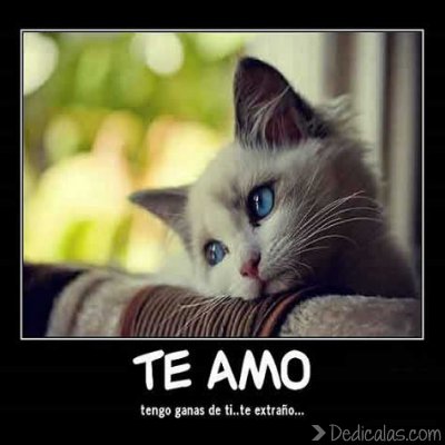 imagenes de enamorados con poemas