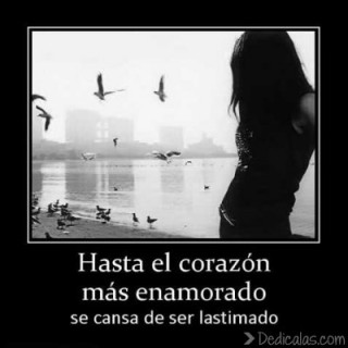 imagenes de un corazon enamorado