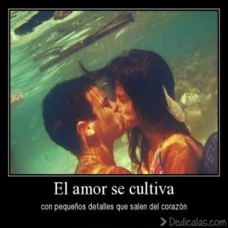 imagenes para enamorarse