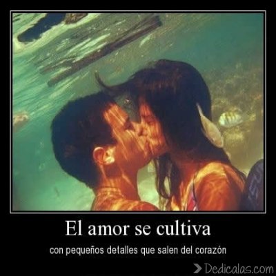 imagenes para enamorarse