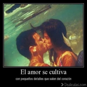 imagenes para enamorarse