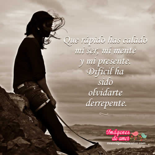 imagenes nunca debi dejarte ir