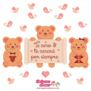 imagenes bonitas de amor te amo 01