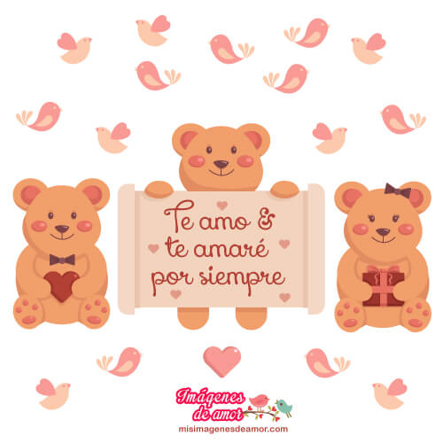 imagenes bonitas de amor te amo 01