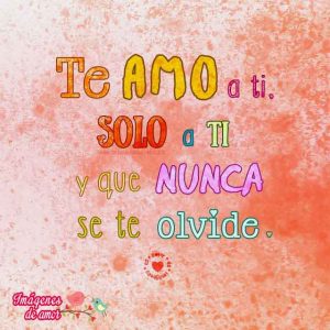 Te amo a ti solo a ti