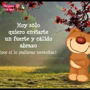 abrazo de los osito