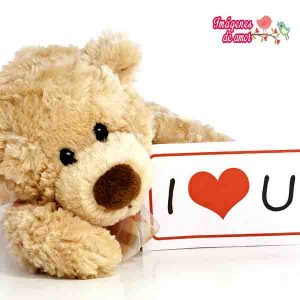 amor de oso