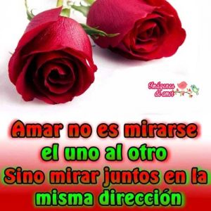 amor es algo mas