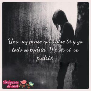 desmotivacion amor podrido