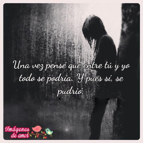 desmotivacion amor podrido