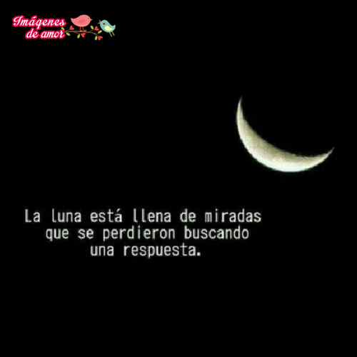 desmotvacion luna