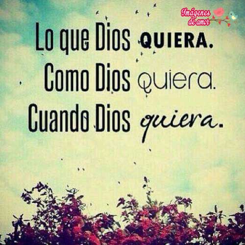 fondos para celular amor