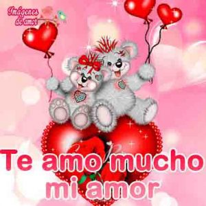fotos de ositos de amor para tu celular