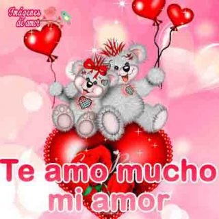 fotos de ositos de amor para tu celular