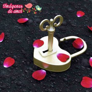 fotografia de amor