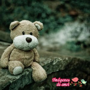 imagenes romanticas