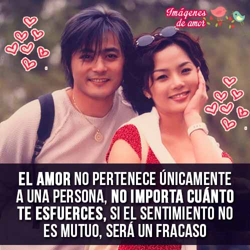 no quiero perderte imagen