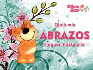 ojala mis abrazos lleguen hasta alla