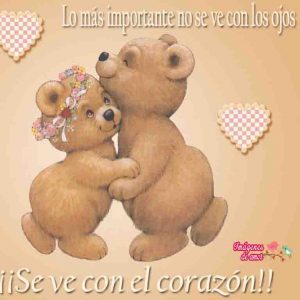 osos de amor