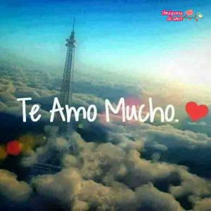 linda frase te amo mucho mi amor