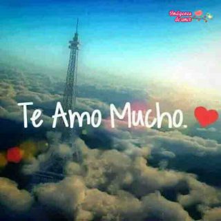 linda frase te amo mucho mi amor