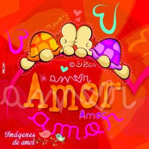 amor amor amor