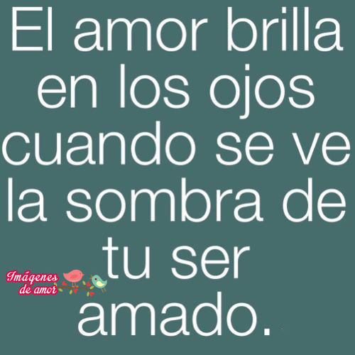 amor brilla