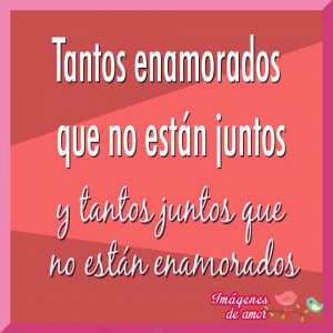 amor gratis