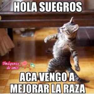 aqui vengo