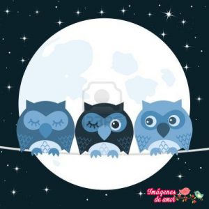 buhos