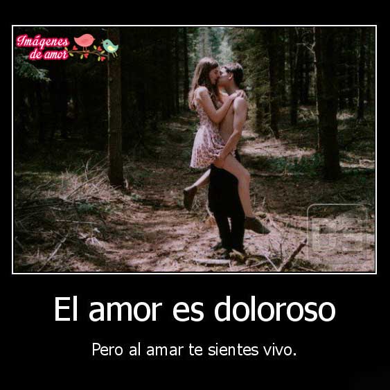 desmotivaciones doloroso amor