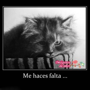 desmotivaciones de amor
