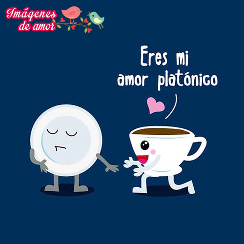 eres mi platonico