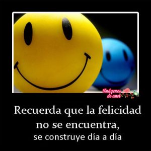 felicidad contruye