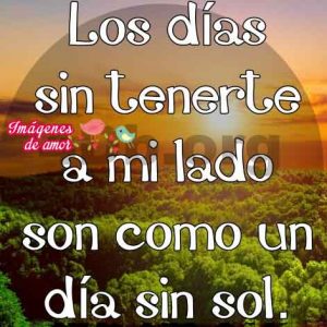 frase linda de amor