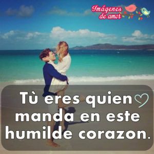 frases amor