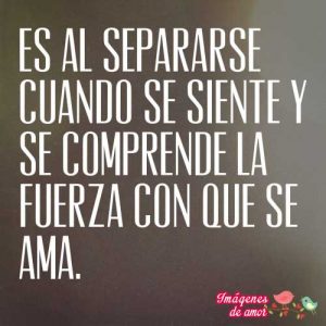 fuerza del amor