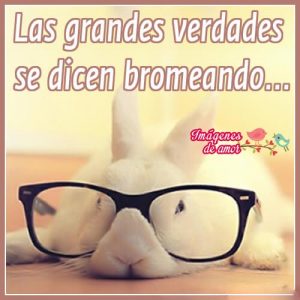 imagen linda