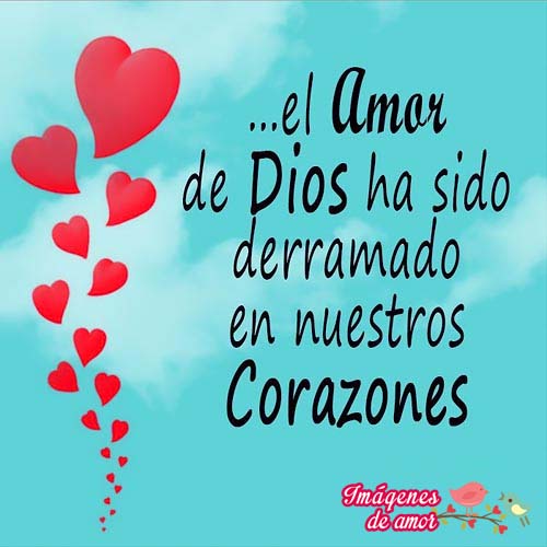 imagenes de amor el amor