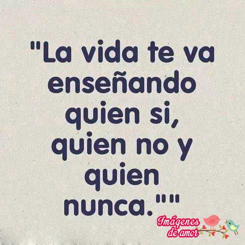 imagenes de amor lavida te enseña