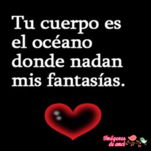 imagenes de amor tu cuerpo mi ocenao