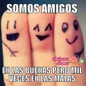imagenes de amor y amistad la amistad