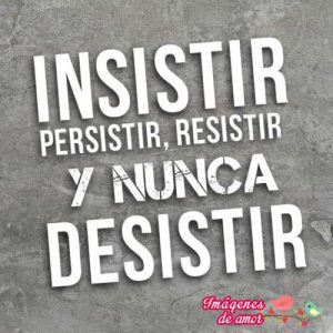 insistir