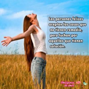 luchar por algo