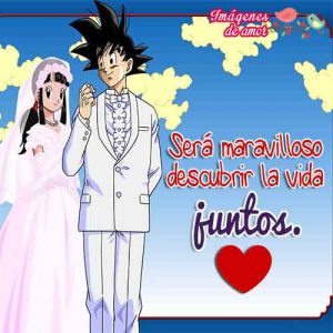 maravillosamente boda