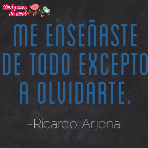 me enseñaste a todo menos a olvidarte