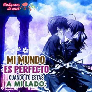 mi mundo perfecto