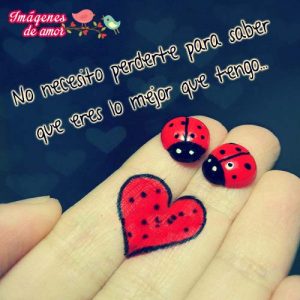 no necesito