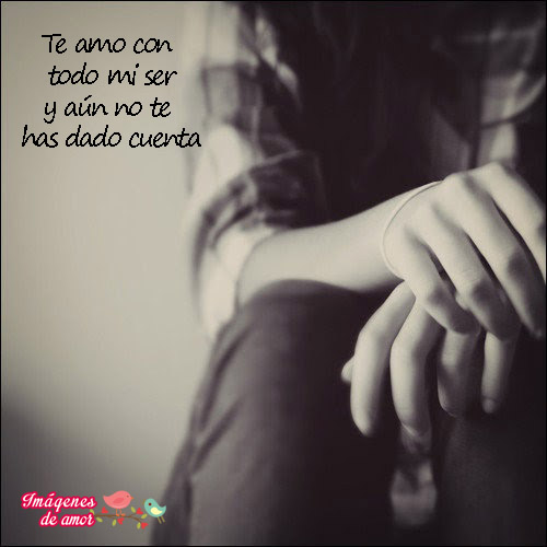 no sabes cuanto te amo